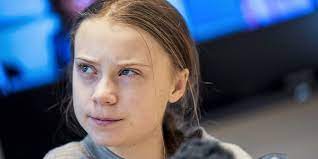 Greta Thunberg vermögen